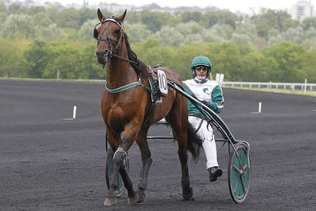 Actualités Hippiques